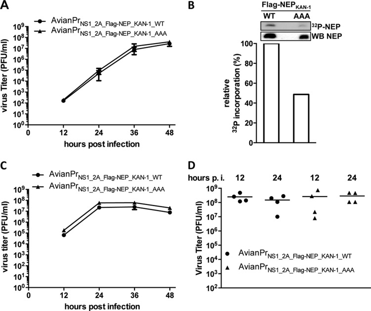 FIG 4