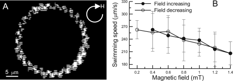 Fig 5