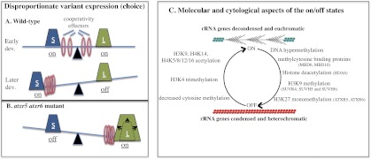 Figure 7.