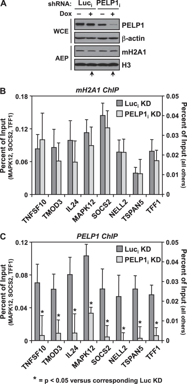 FIG 6