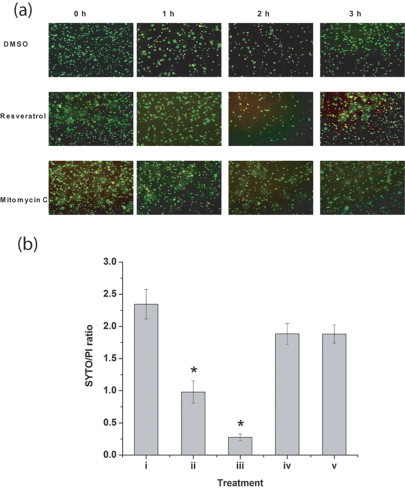 Supplementary Fig. 1