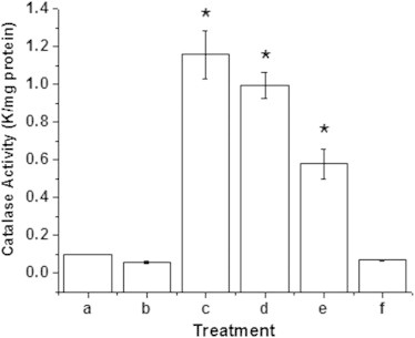 Fig. 6