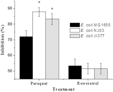 Fig. 5