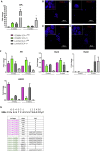 Figure 6