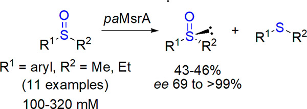 Scheme 16