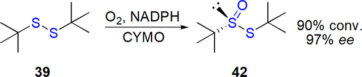 Scheme 22