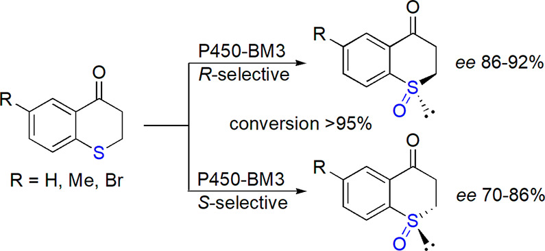 Scheme 15