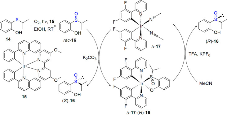 Scheme 8