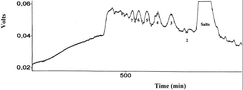 FIG. 5