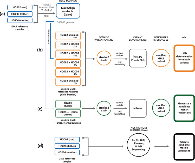 Figure 1 -