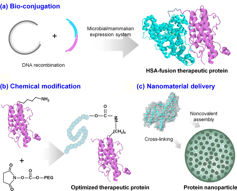 graphic file with name 12274_2022_4103_Fig1_HTML.jpg