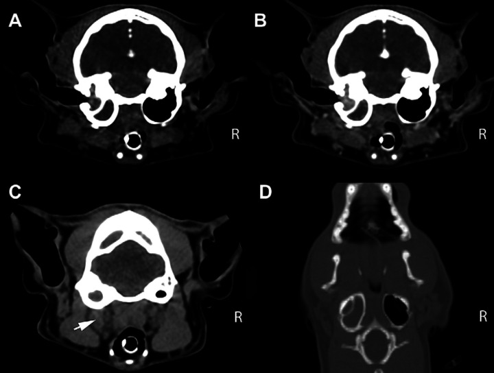 Fig 1.