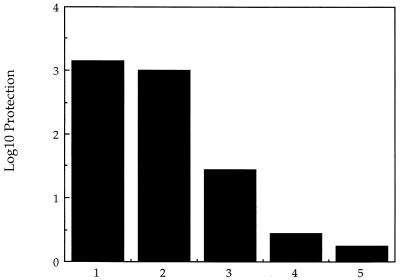 FIG. 10