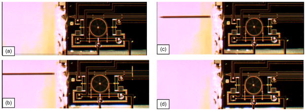 Fig. 10