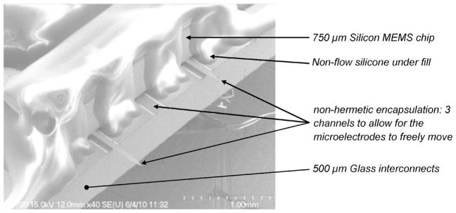 Fig. 11