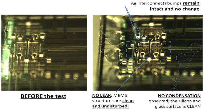 Fig. 13