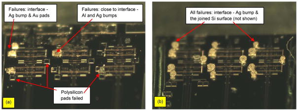 Fig. 19