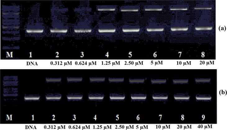 Fig. 9