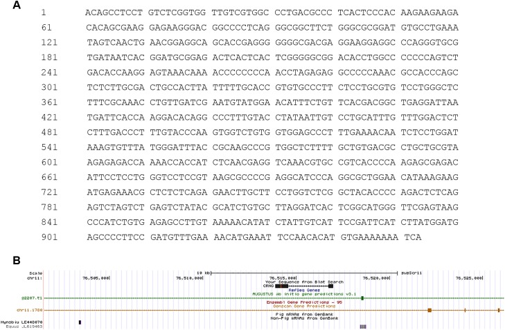 FIGURE 1