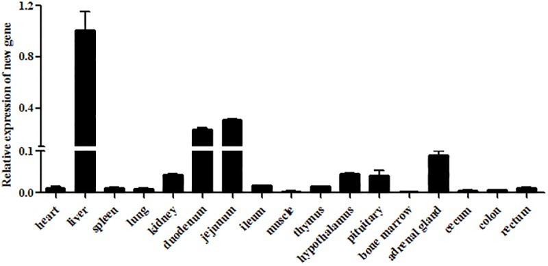 FIGURE 3