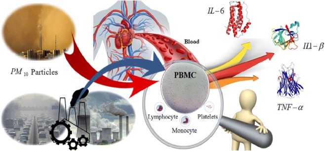 Graphical abstract