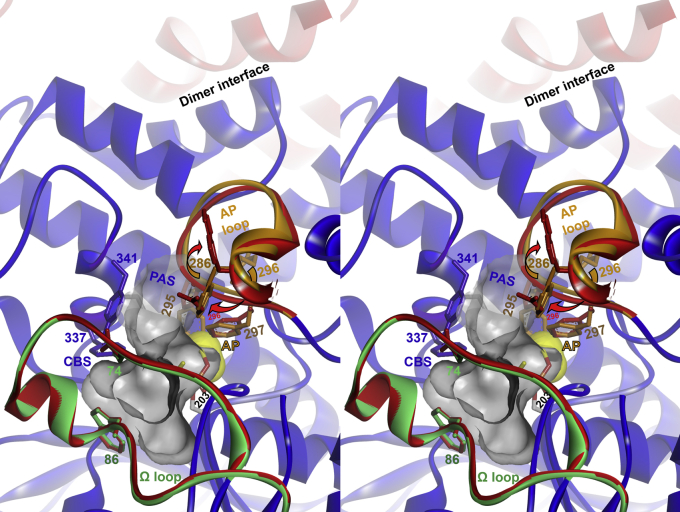 Figure 6