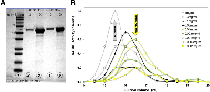 Figure 1
