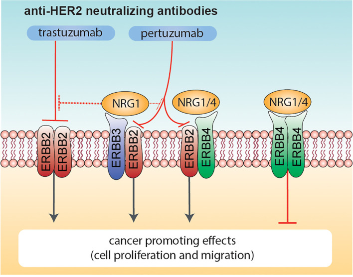 Figure 7