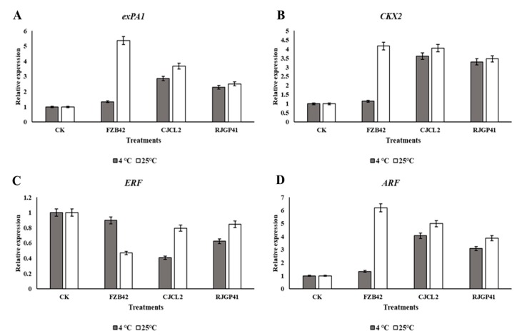 Figure 13