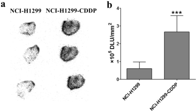 Fig. 7