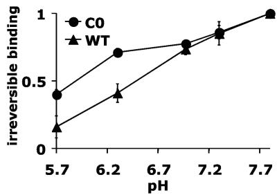 FIG. 5.