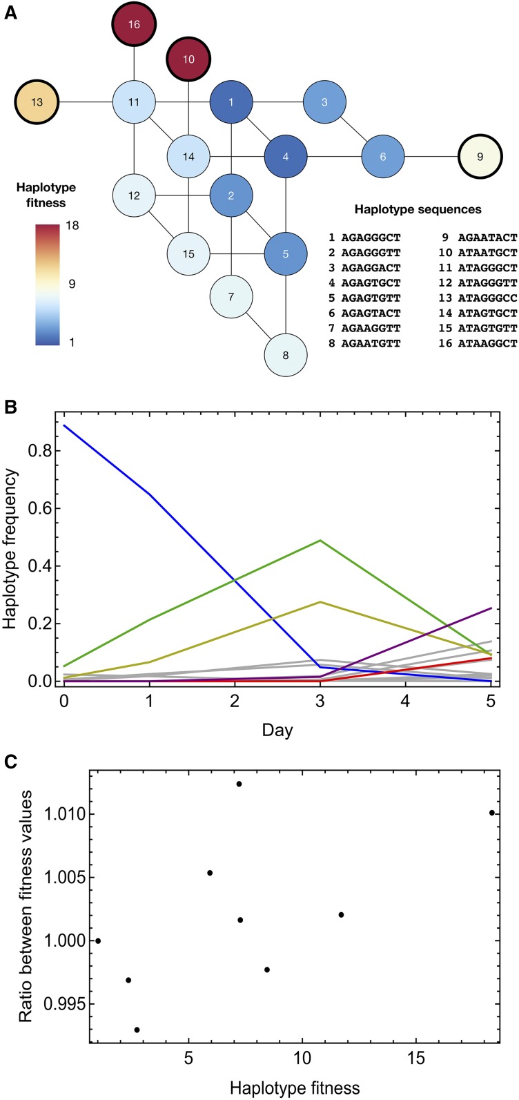 Figure 6