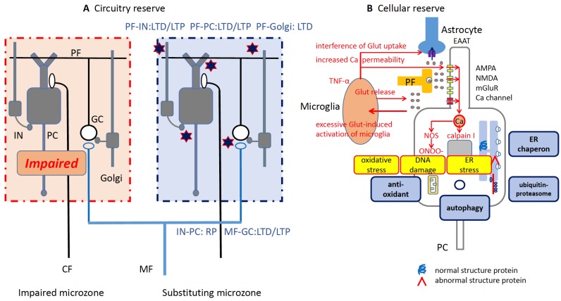 Fig. (3)