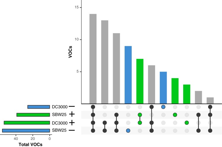 FIG 6