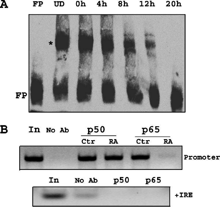 Figure 9