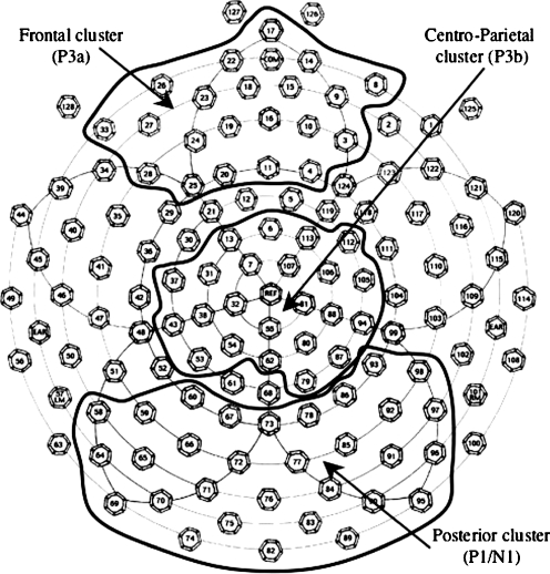 Fig. 1