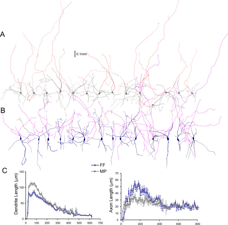 Figure 2—figure supplement 2.