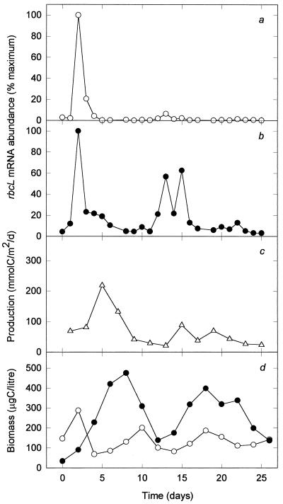 FIG. 5