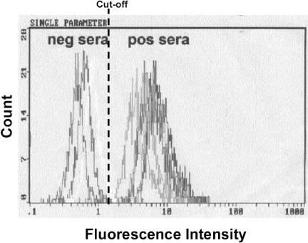 FIG. 2.