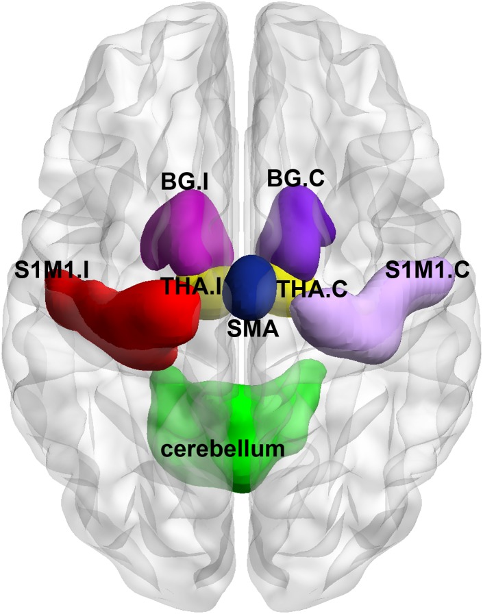 FIGURE 1