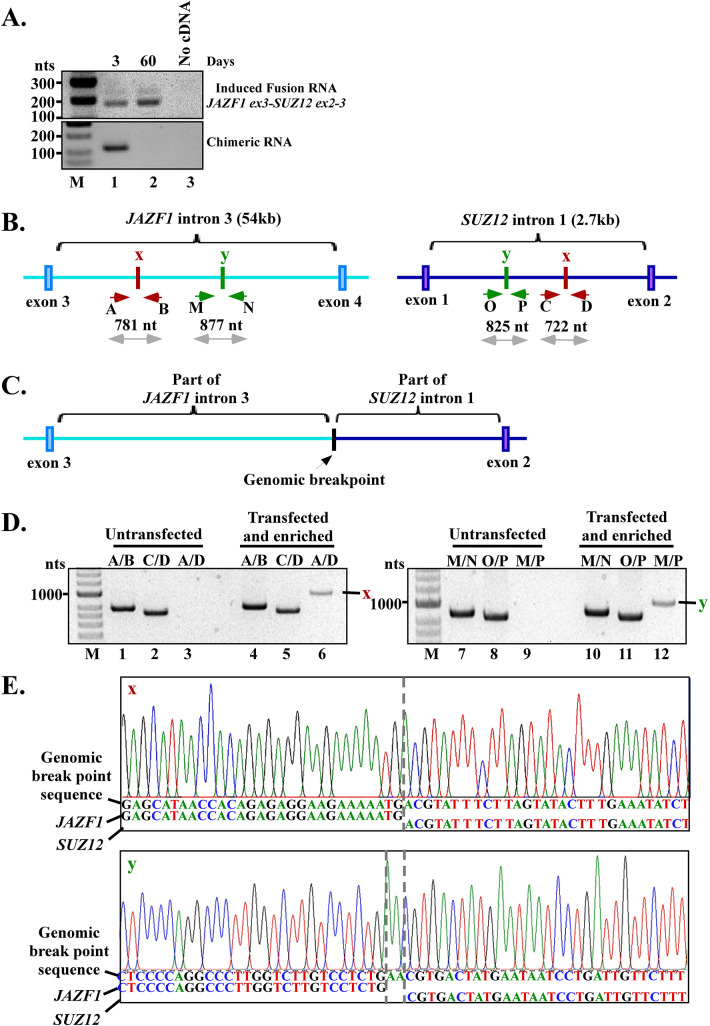 Fig 4