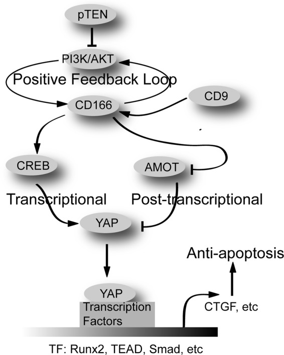 FIGURE 10.