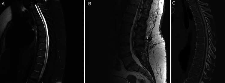 FIG. 1.