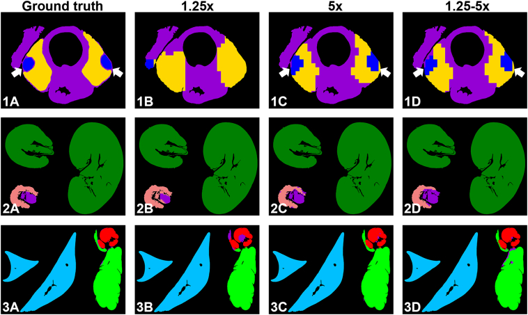 Fig. 5