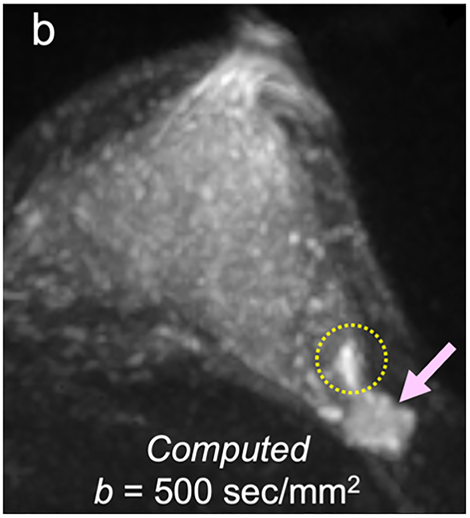 Fig 4—