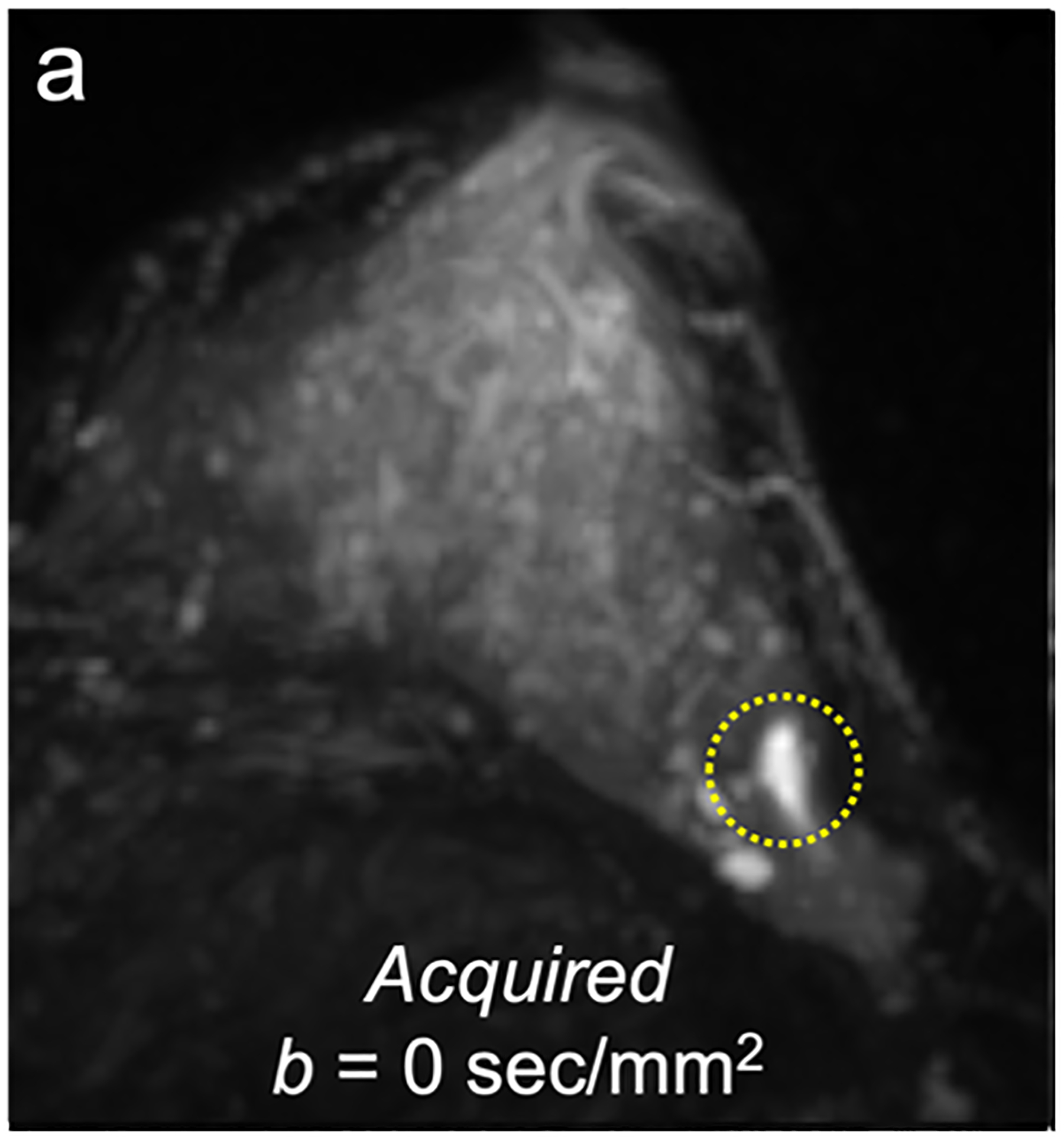 Fig 4—