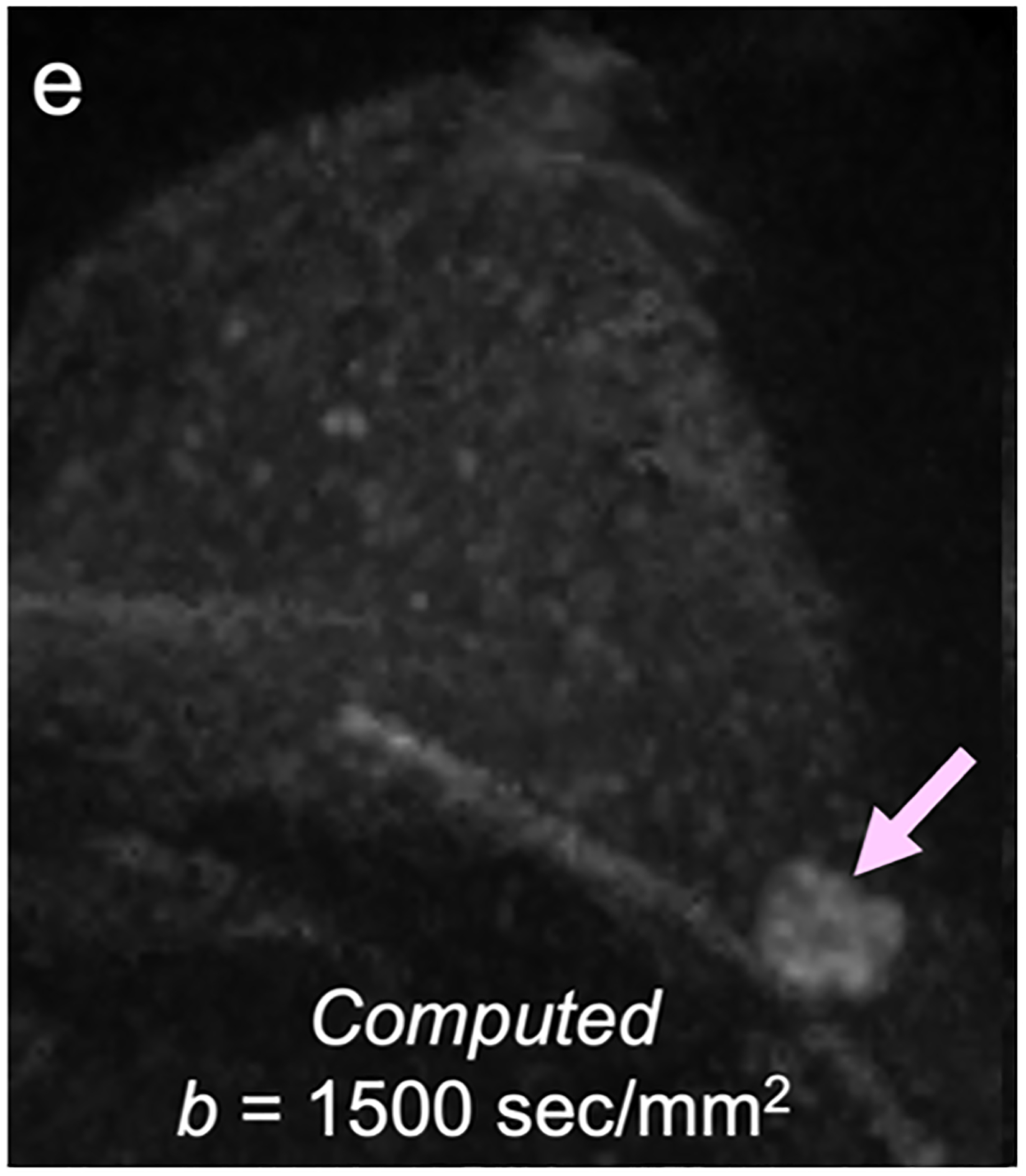 Fig 4—