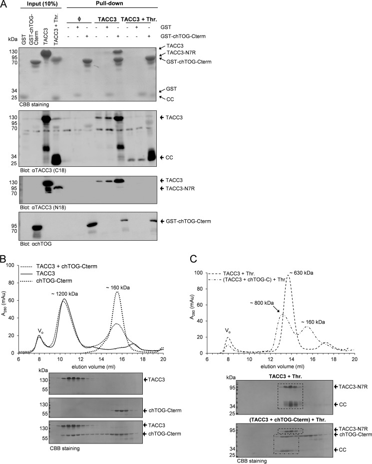 FIGURE 7.