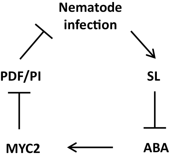 Fig. 8.