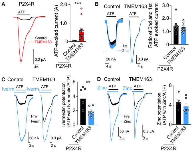 Figure 6.